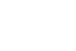 PHD Strength