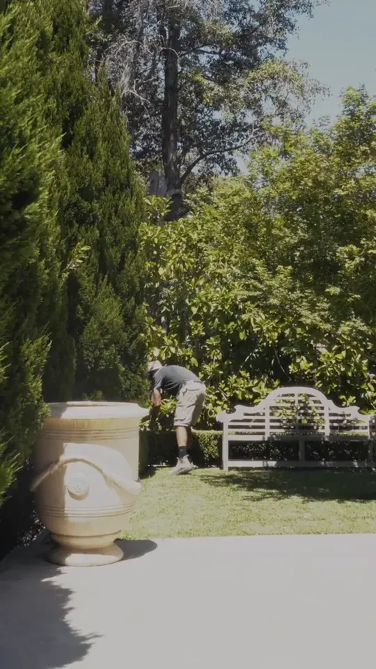 Frame from Epping garden, Yardware